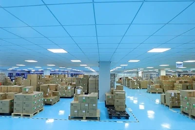 DISEA packing process step 40: Warehouse