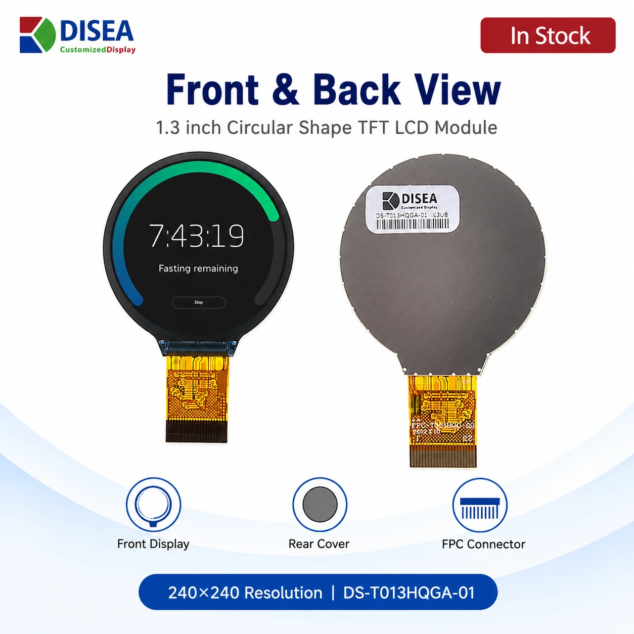 DS-T013HQGA-01 front and back module view