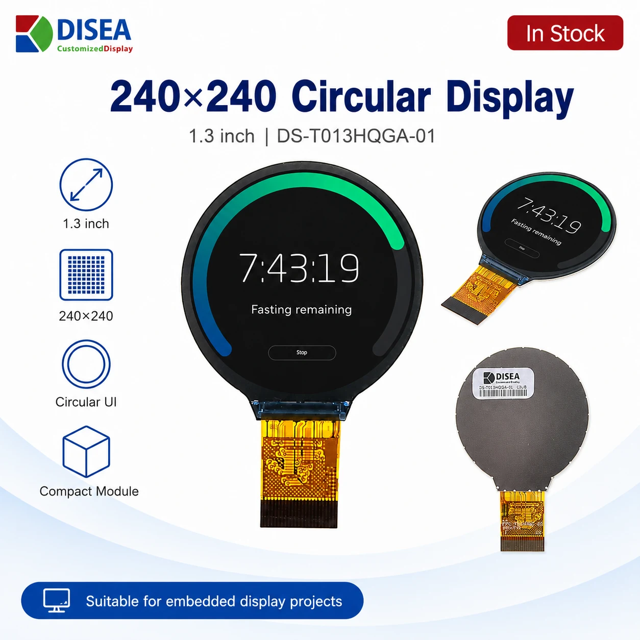 DS-T013HQGA-01 circular display